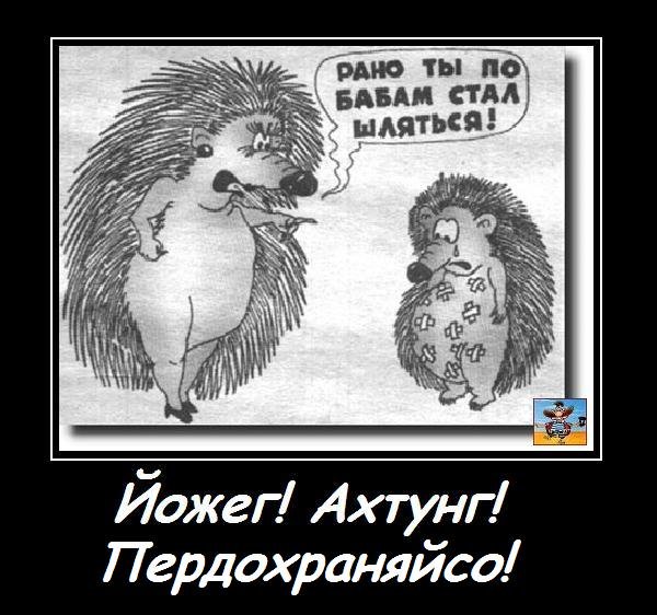 Напугал ежа голым задом