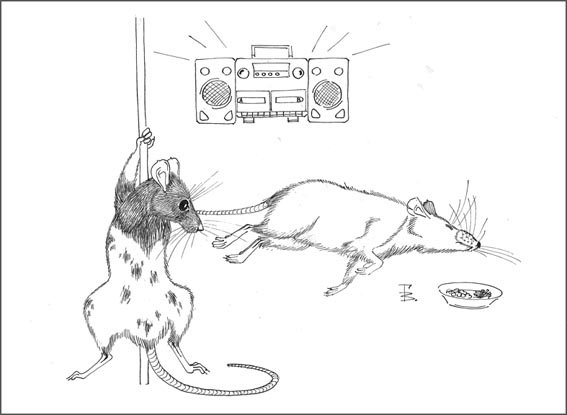 Карикатура крысы и вакцина