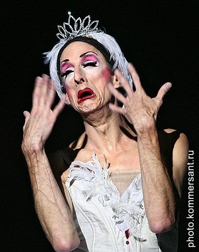 Дохлый лебедь картинка смешная