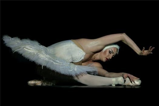 Евгения Двоскина анекдоты и шутки