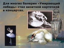 Царевна лебедь балет Чайковского