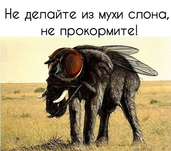 Как сделать из мухи слона