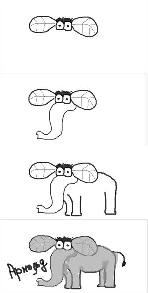 Слон и Муха картинки