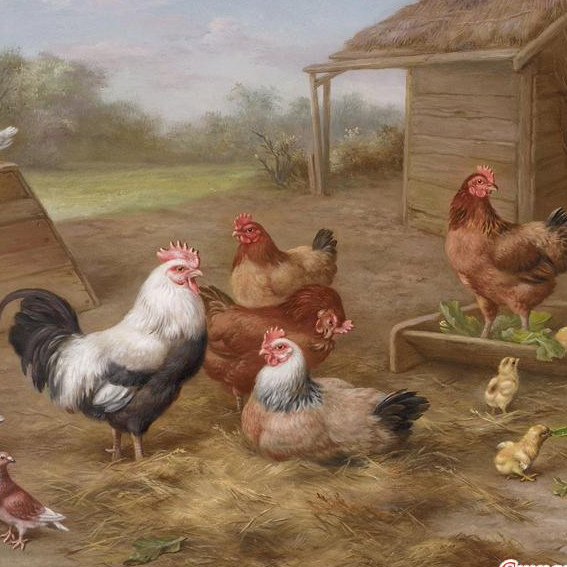 Птицеферма игра