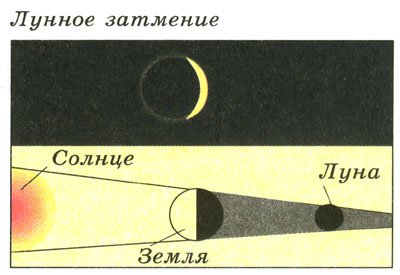 Солнечное затмение карикатура (43 фото)