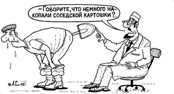 Проктолог карикатура