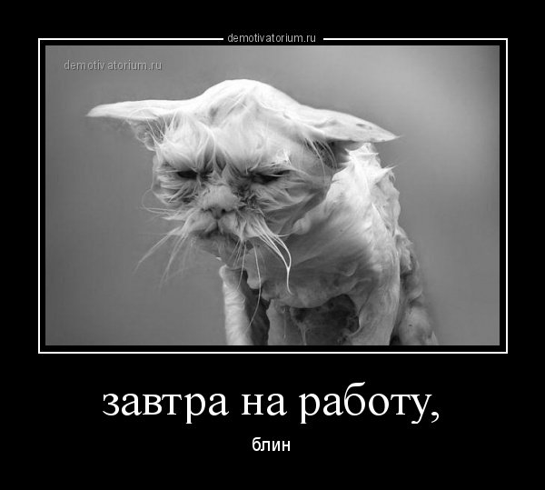 Завтра на работу картинки