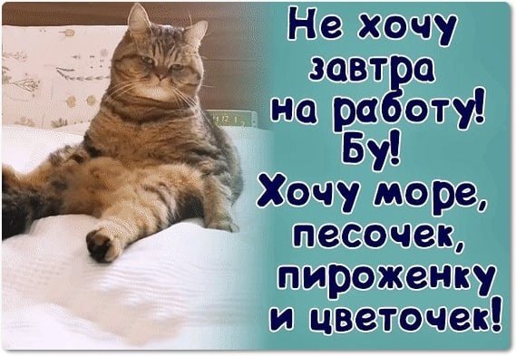 Завтра понедельник картинки прикольные