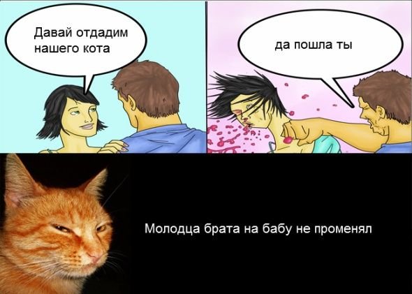 На бабу променял