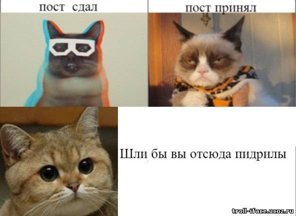 Пост сдал картинка