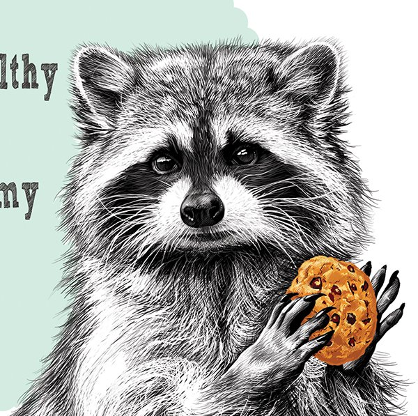Енот с печеньем