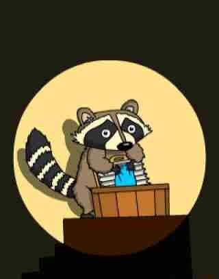 Анимированный енот