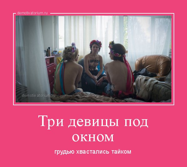 Три девицы под окном прикол