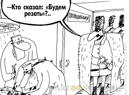 Дунькин Горец карикатура