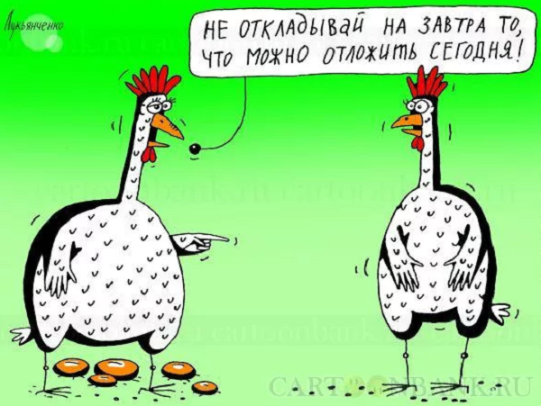 Шутки про яйца куриные