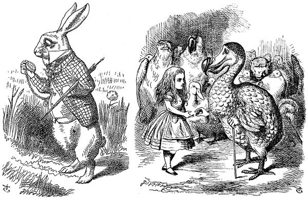 Джон Тенниел иллюстрации Дронт