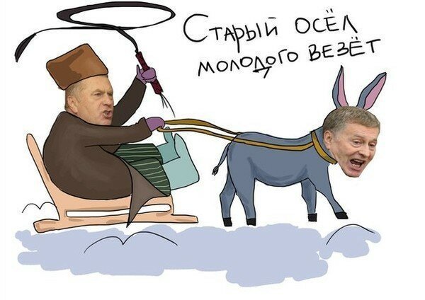 Жириновский карикатура