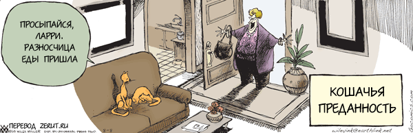 Шарж с кошкой