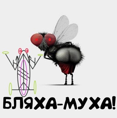 Бляха Муха рисунок