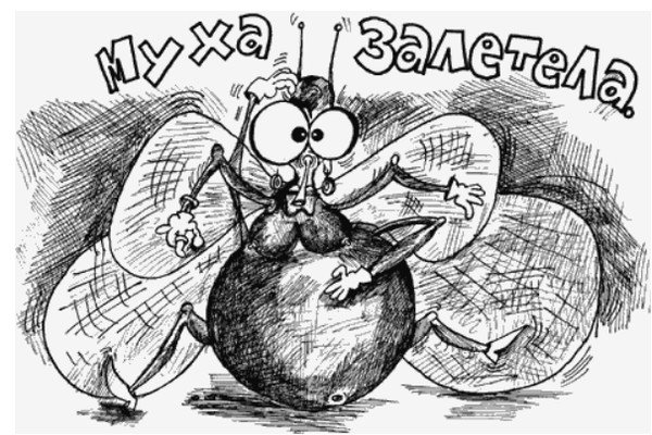 Смешная Муха