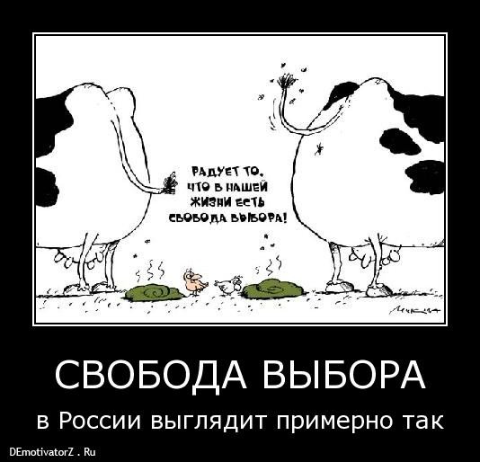 Свобода выбора