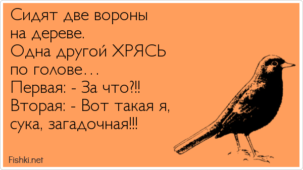 Ворон ворону глаз не выклюет карикатура (47 фото)
