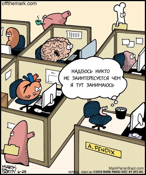 Работа в офисе карикатура