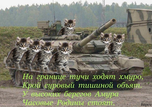 Пограничник карикатура смешные