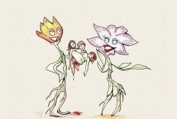 Приколы про цветы