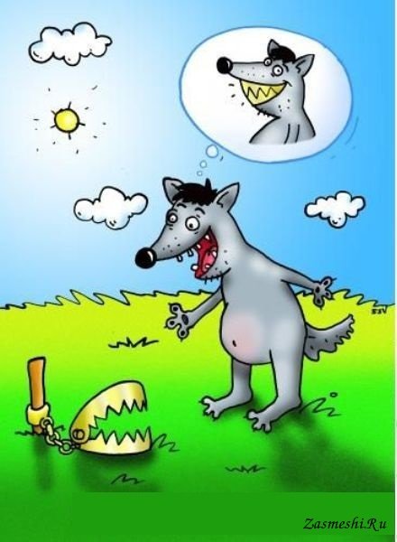 Нам не страшен серый волк