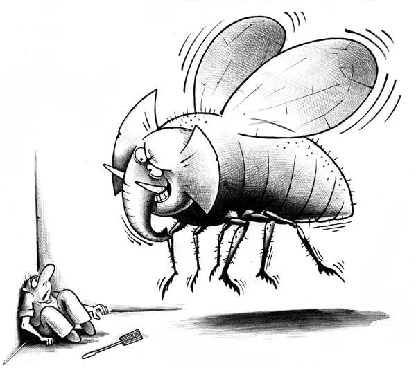 Моль карикатура