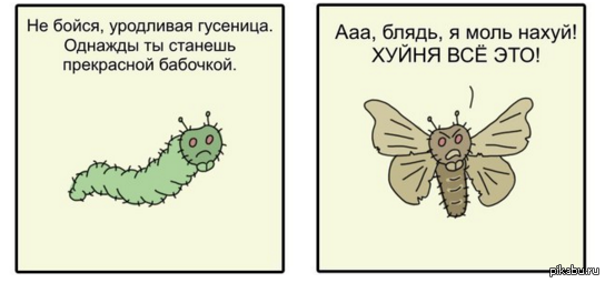 Смешная моль