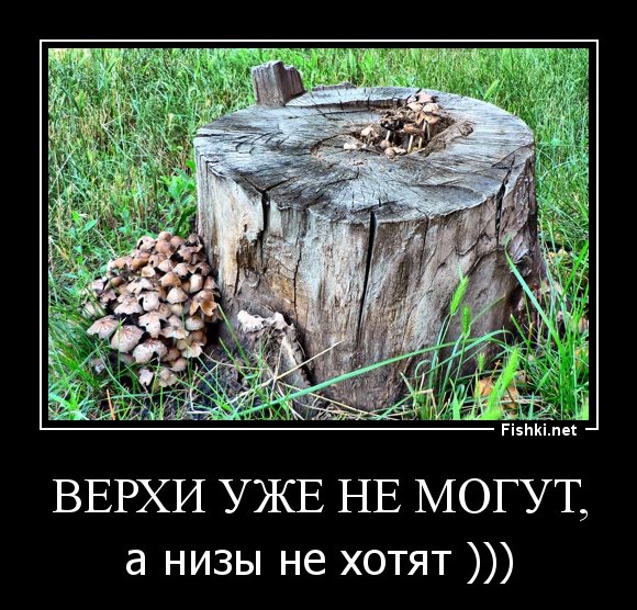 Карикатуры про жизнь