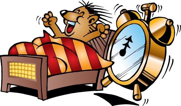 Пора вставать доброе утро