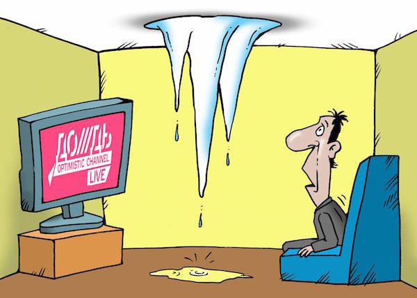 Коты компьютер иллюстрации