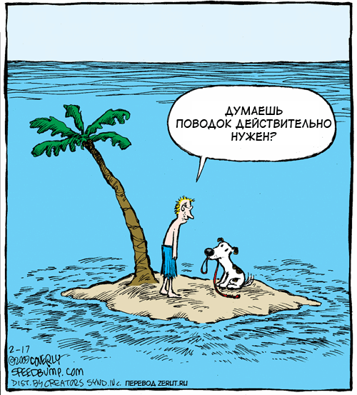 Необитаемый остров прикол