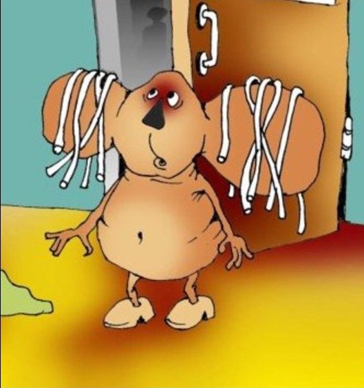 Чебурашка с лапшой на ушах