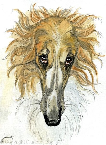 Рисунок русской псовой борзой