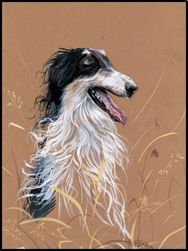 Русская борзая карикатура