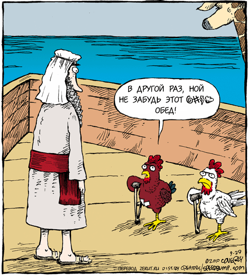 Шутки про куриц