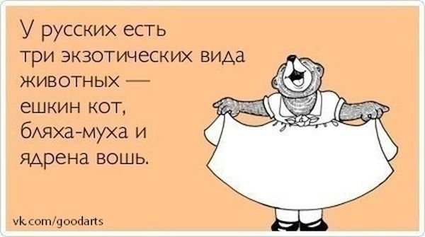 Анекдоты про медведей смешные