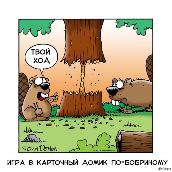 Шутки про Бобров