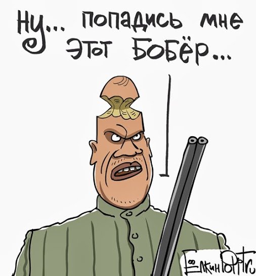 Карикатура на бобра