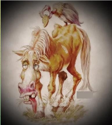 Старая лошадь кляча