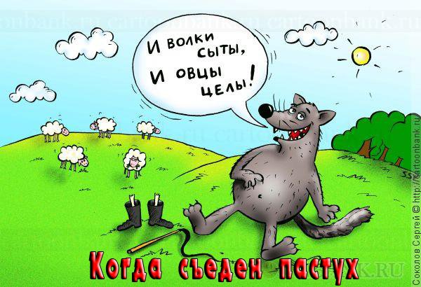 Овца карикатура