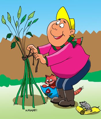 Анекдоты про огород