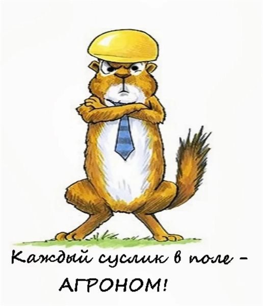Суслик агроном