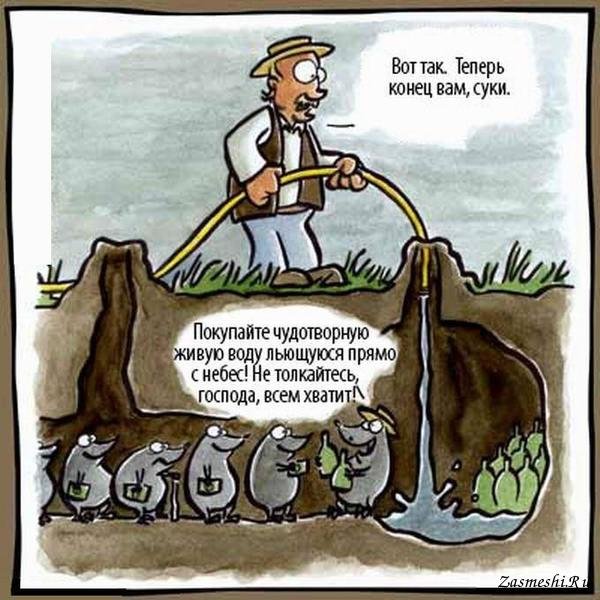 Каждый суслик агроном