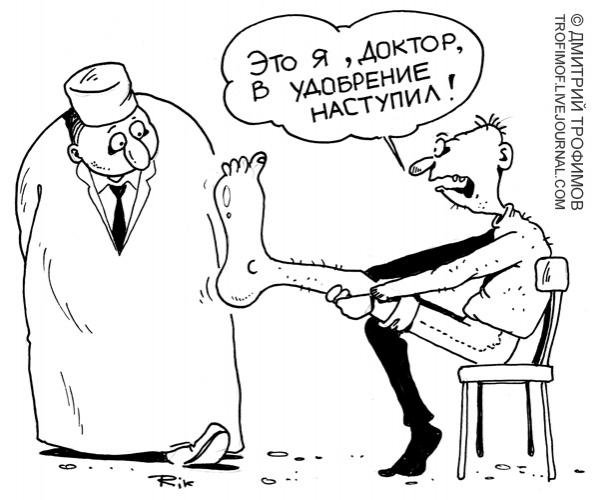 Навоз карикатура