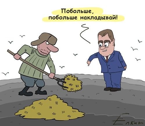 Смешные суслики с надписями